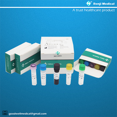 Monkeypox Virus MPV Nucleic Acid Detection Kit Echtzeit-PCR-Methode