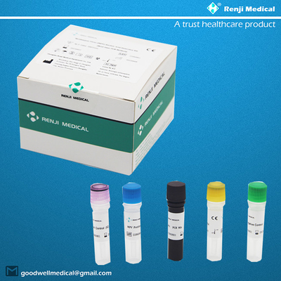 Monkeypox Virus MPV Nucleic Acid Detection Kit Echtzeit-PCR-Methode