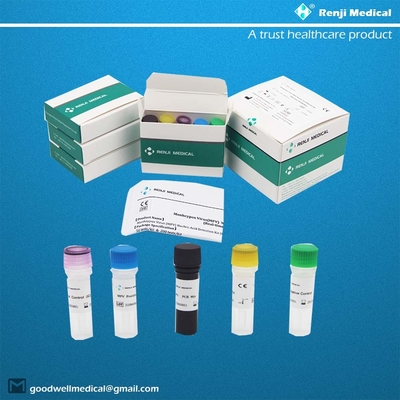 Monkeypox Virus (MPV) Nukleinsäure-Nachweis-Kit Fast Test Home Kit Real Time PCR Kit