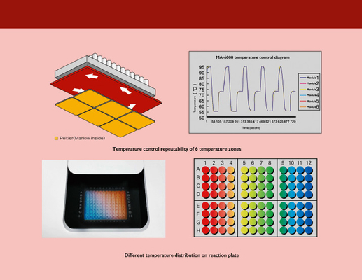 MSDS Nukleinsäure-Extraktions-Maschine, quantitative Realzeitmaschine PCR-MA6000