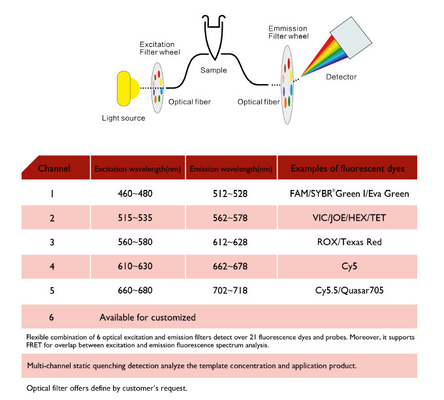 MSDS Nukleinsäure-Extraktions-Maschine, quantitative Realzeitmaschine PCR-MA6000