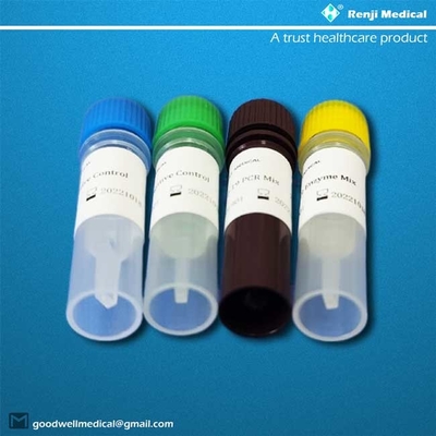 ORF1ab/N Gene Novel Coronavirus Testing Kit SGS-Bescheinigung