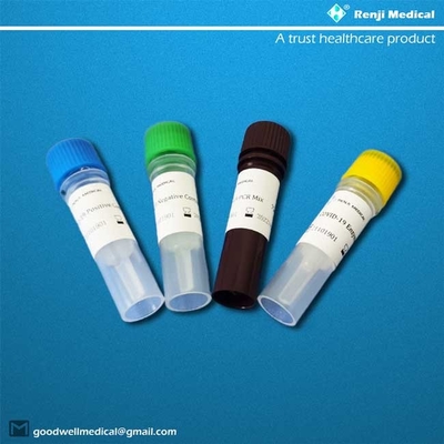 MA SDS bescheinigte Nukleinsäure Prüfungskit polymerase chain reaction PCR