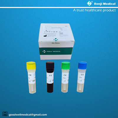 Novel Coronavirus COVID-19 Nucleic Acid Testing Kit Qualitativer Rt Pcr-Test CE