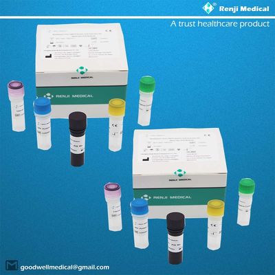 Monkeypox Virus (MPV) Nukleinsäure-Nachweis-Kit Fast Test Home Kit Real Time PCR Kit